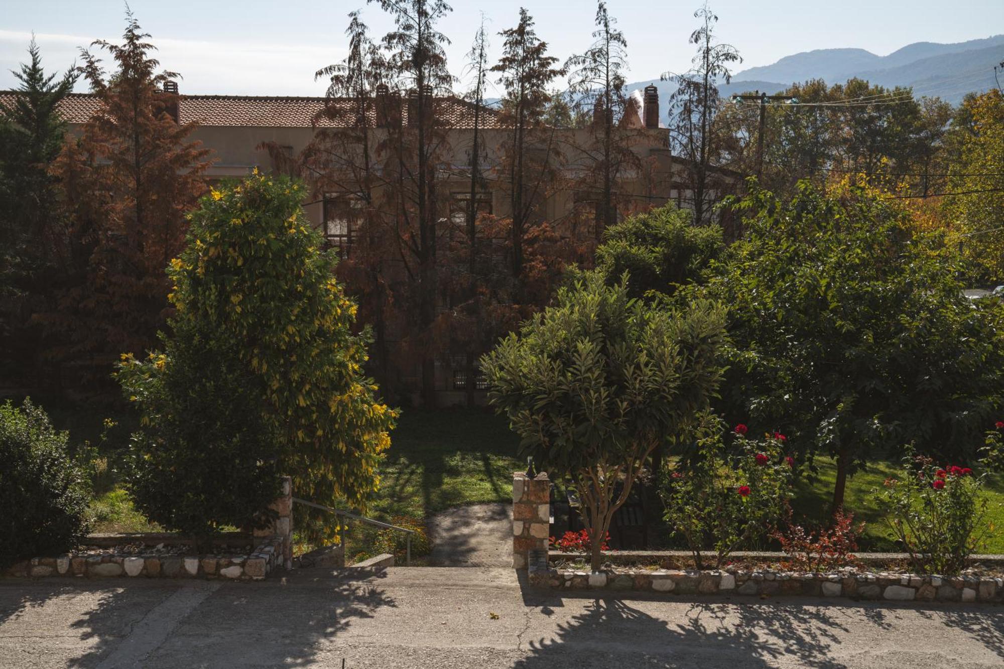 Alkyonis Hotel & Spa Káto Loutrákion エクステリア 写真